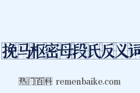 挽马枢密母段氏反义词是什么意思的图片